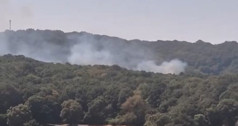 sariyerde-orman-yangini-cikti-rBrhOzOi.jpg