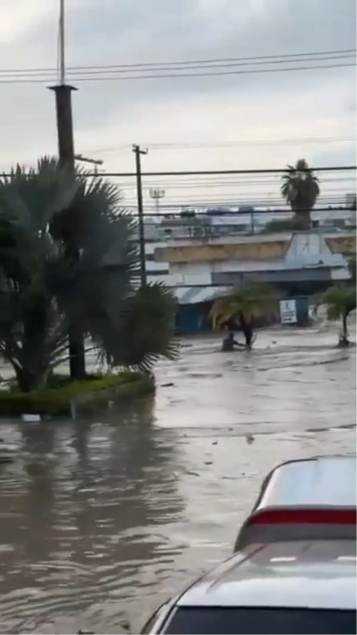 meksikada siddetli yagislar sele neden oldu 41 olu 24BWwXCx.jpg